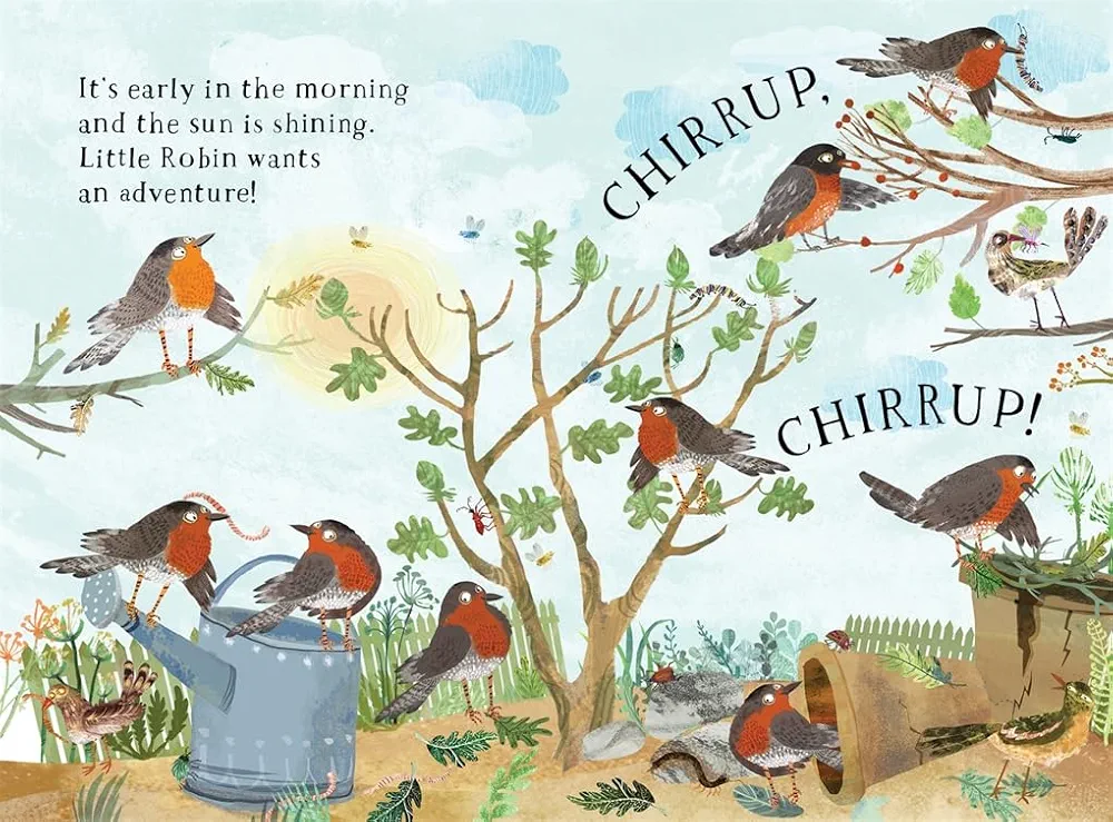 Little Robin's Book of Birds preview