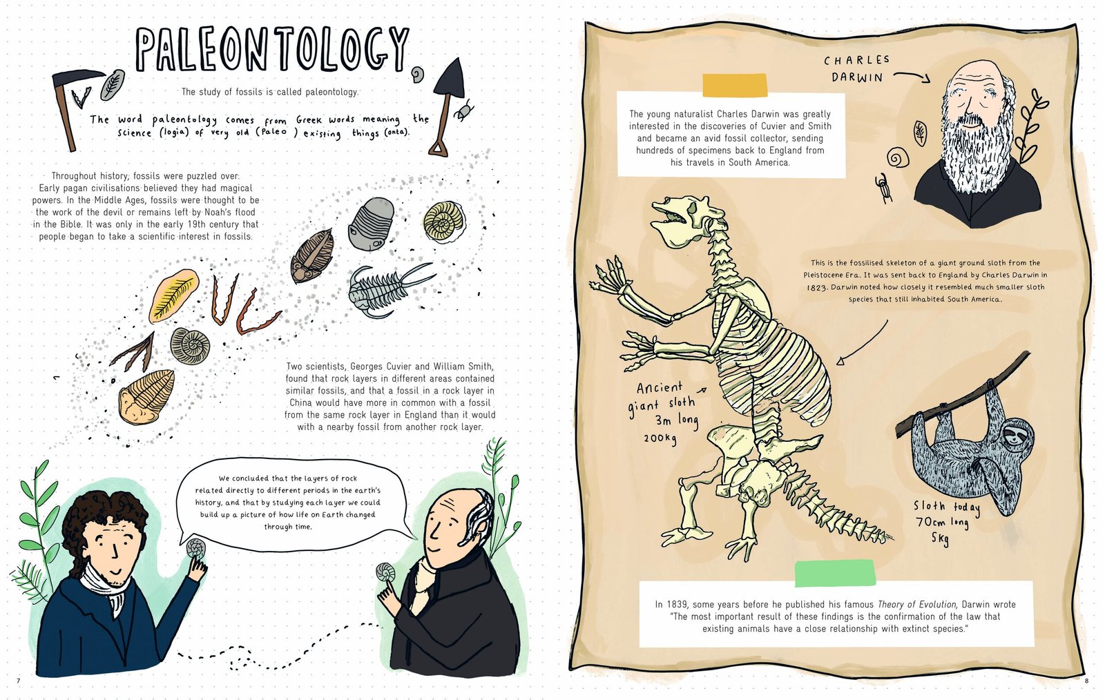 Stones and Bones: Fossils and the Stories They Tell preview