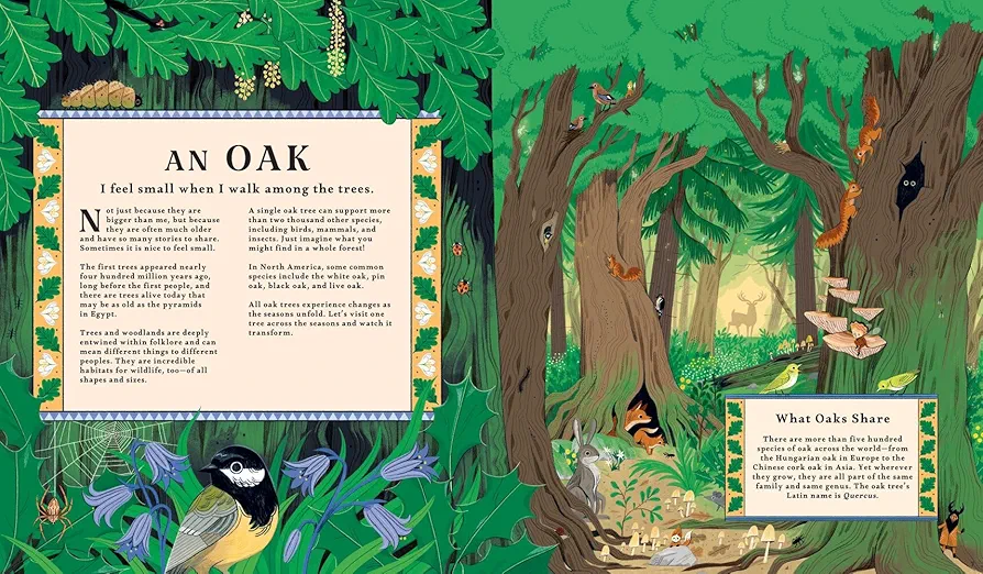 Woodlore: Discover the Seasons and Stories of the Forest preview