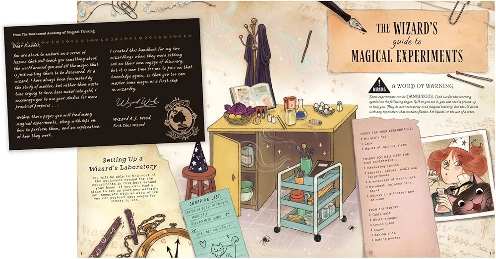 The Wizard's Guide to Magical Experiments preview