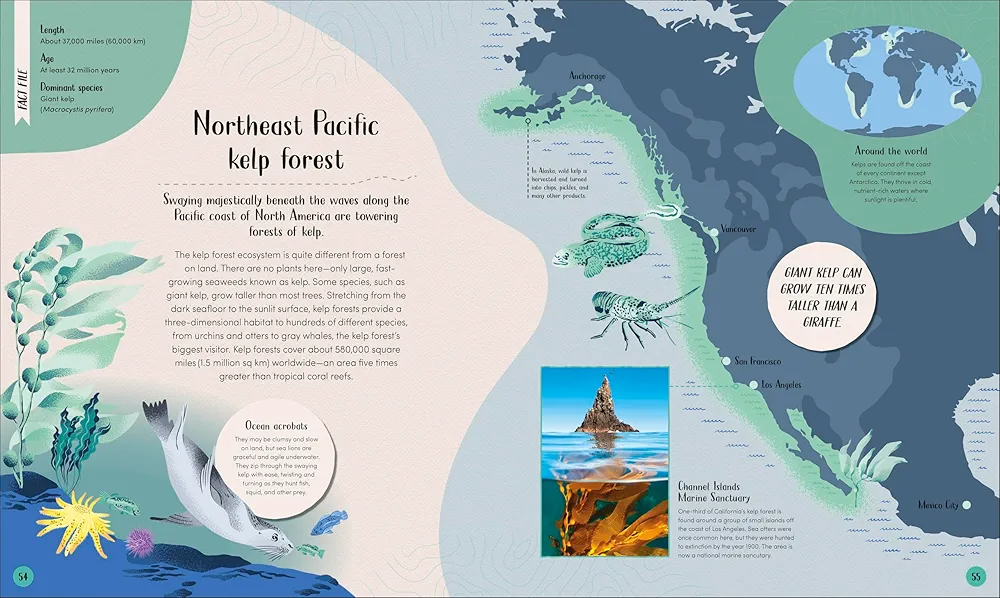 Earth's Incredible Habitats: Ocean preview