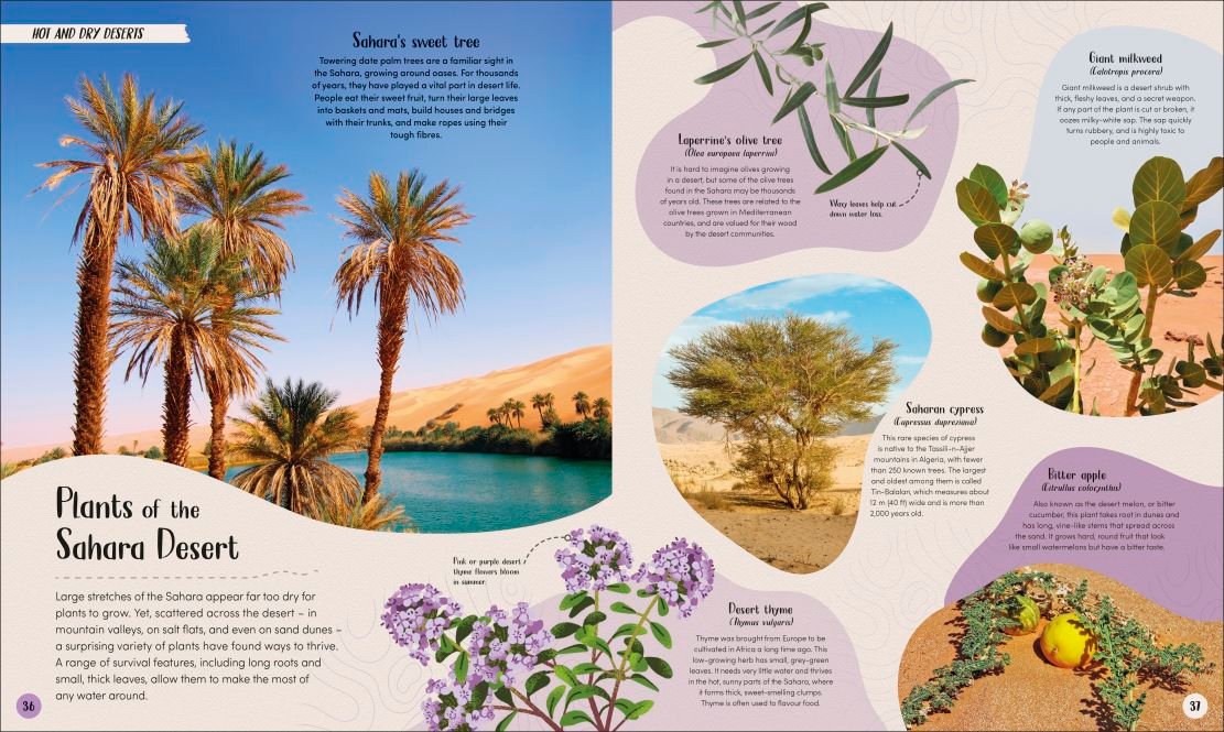 Earth's Incredible Habitats: Desert preview