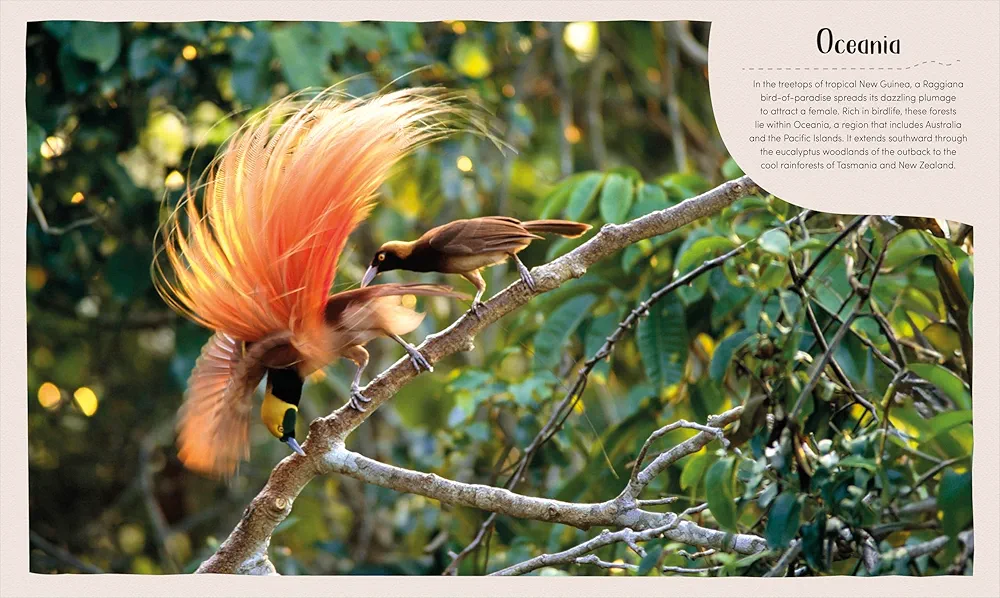 Earth's Incredible Habitats: Forest preview