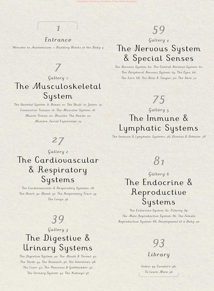 Anatomicum preview