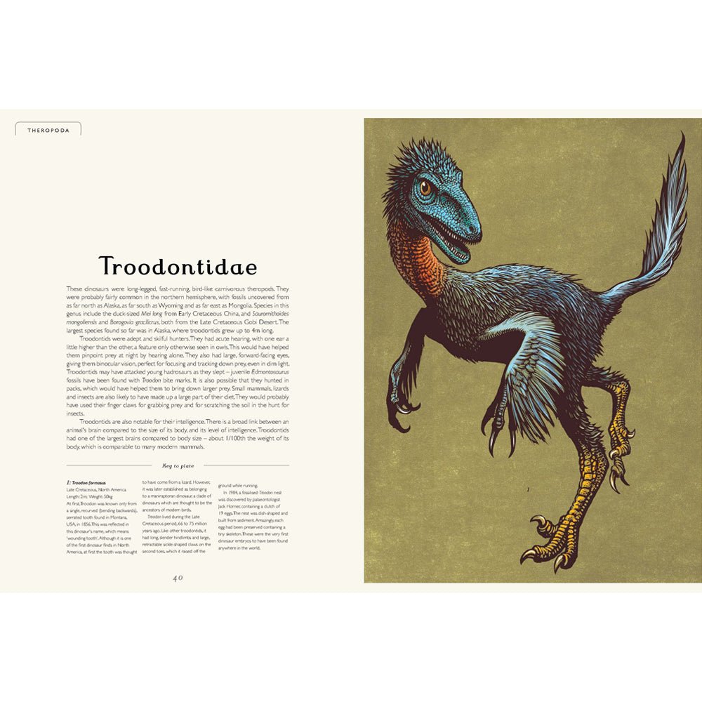 Dinosaurium preview