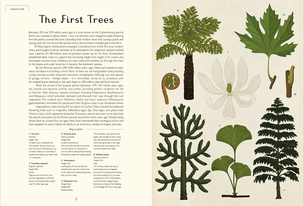 Arboretum preview
