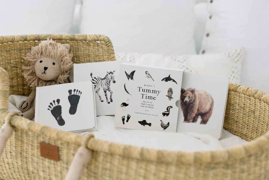 Baby's Tummy Time Book Box Set preview