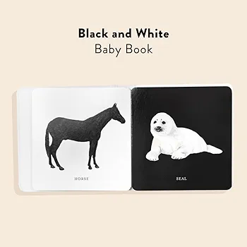 Baby's Black and White Contrast Book preview
