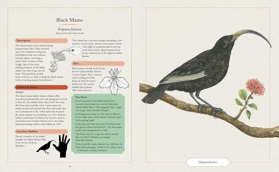 The Illustrated Encyclopaedia of Extinct Animals preview