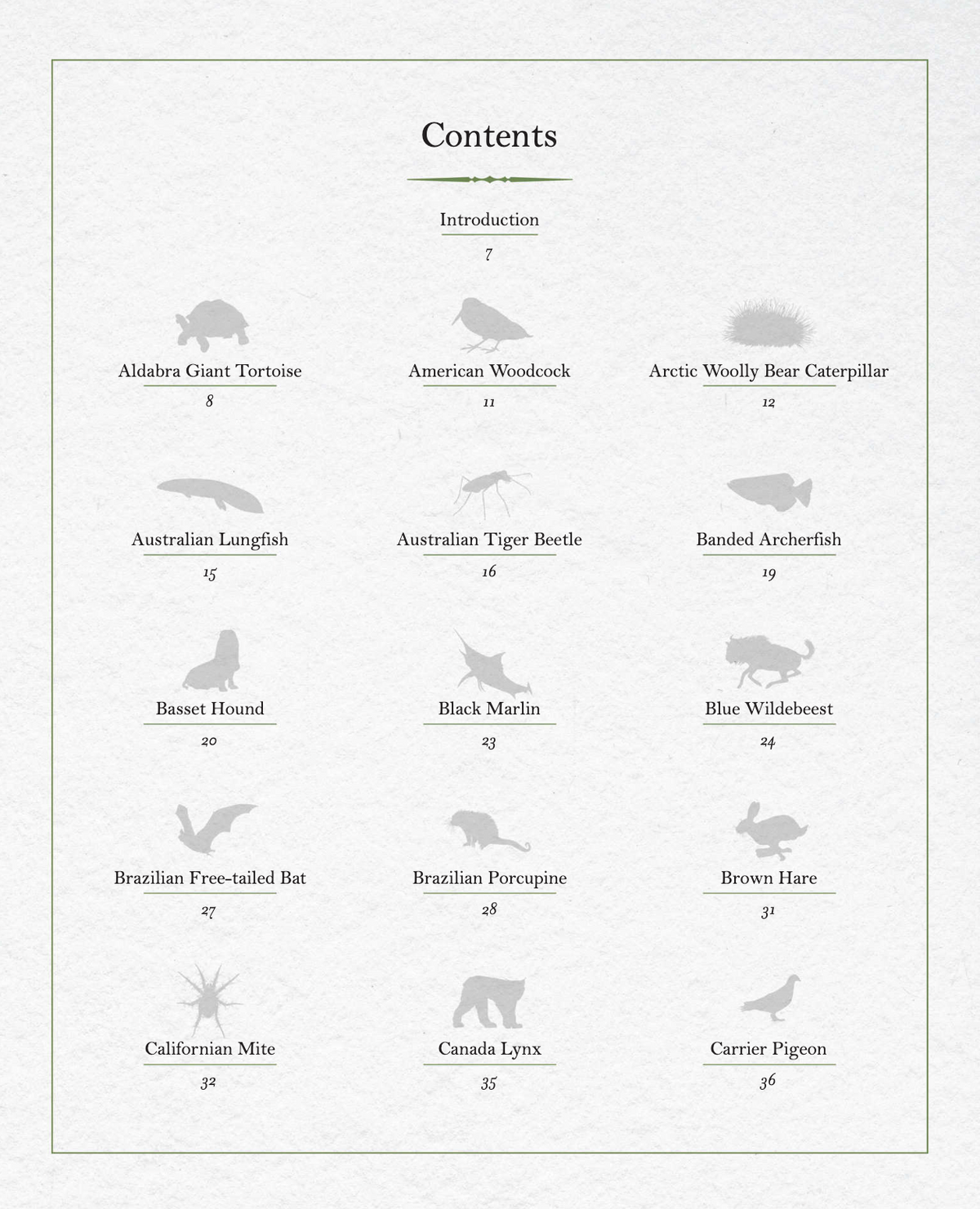 The Illustrated Encyclopaedia of Fast and Slow Animals preview