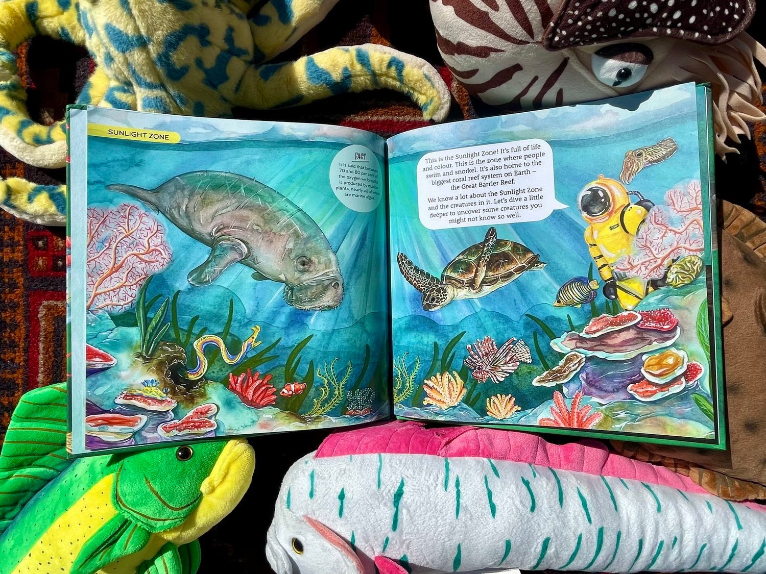 How We Came to Be: Surprising Sea Creatures preview