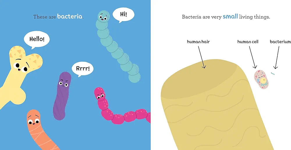 Baby Medical School: Bacteria and Antibiotics preview