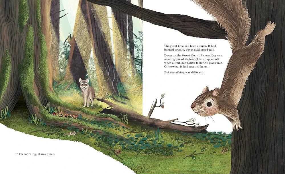 Listen to the Language of the Trees preview