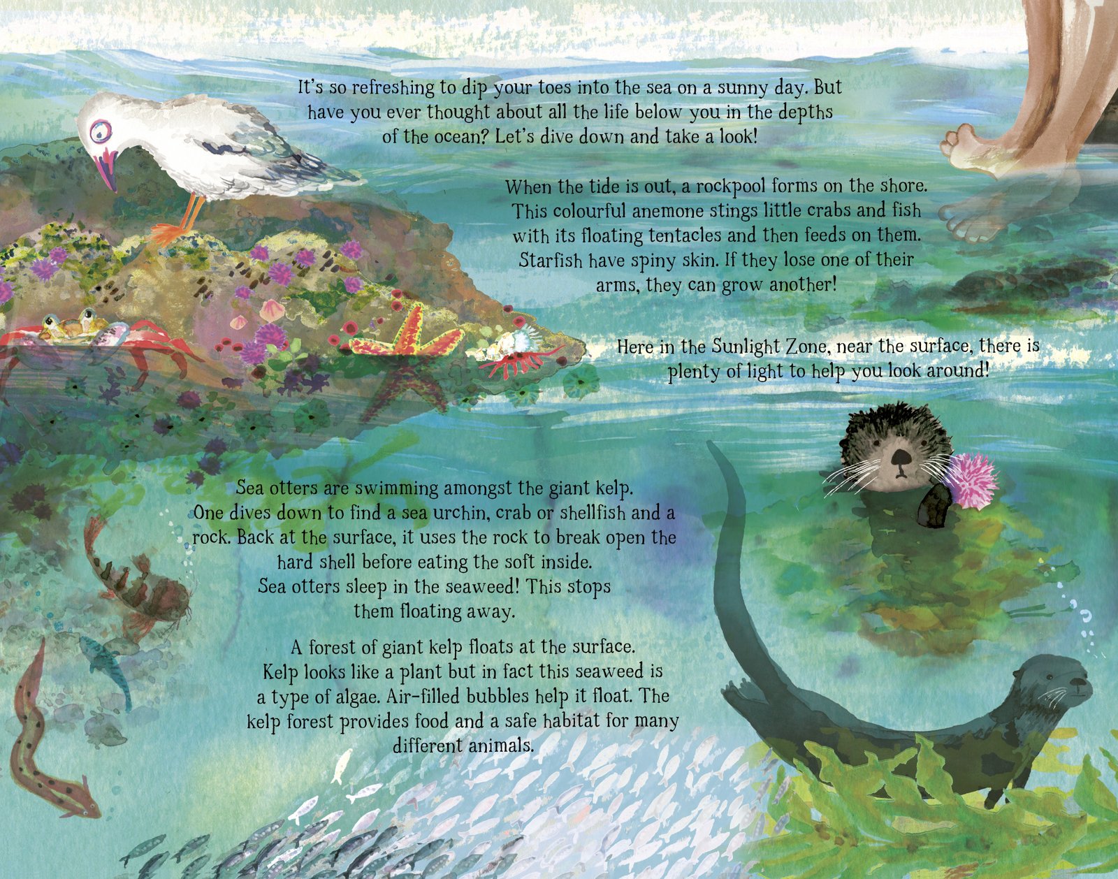 The Sea Below My Toes preview