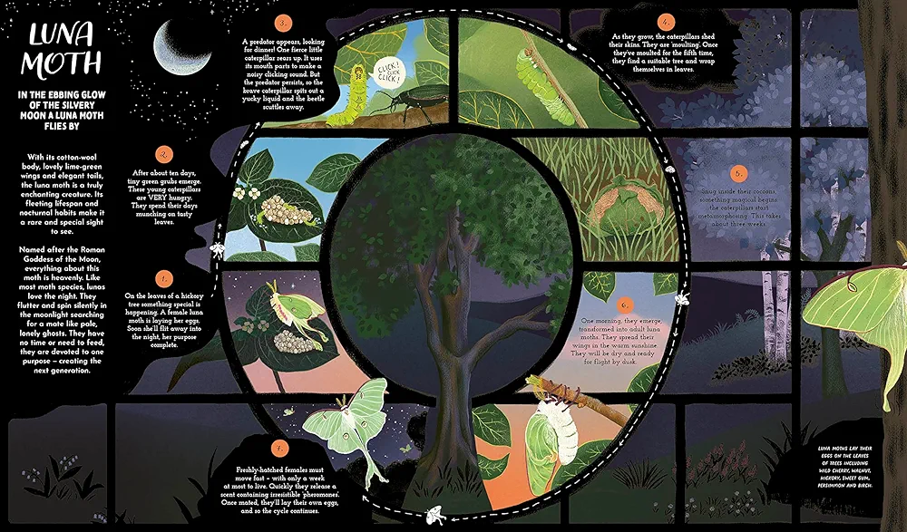Round and Round Goes Mother Nature preview