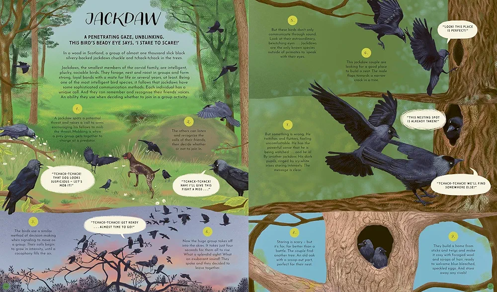 Wild Languages of Mother Nature preview