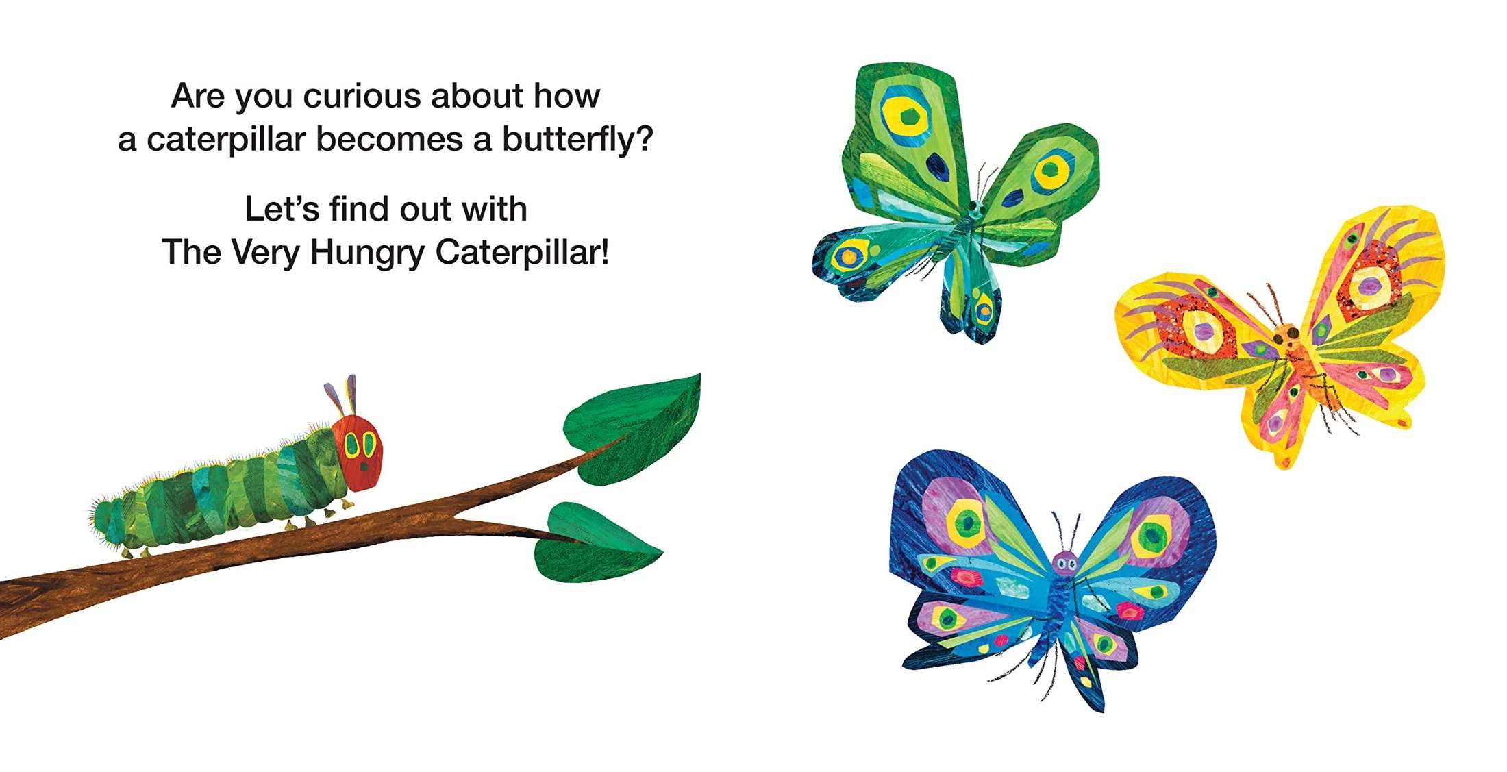 How Does a Caterpillar Change? preview
