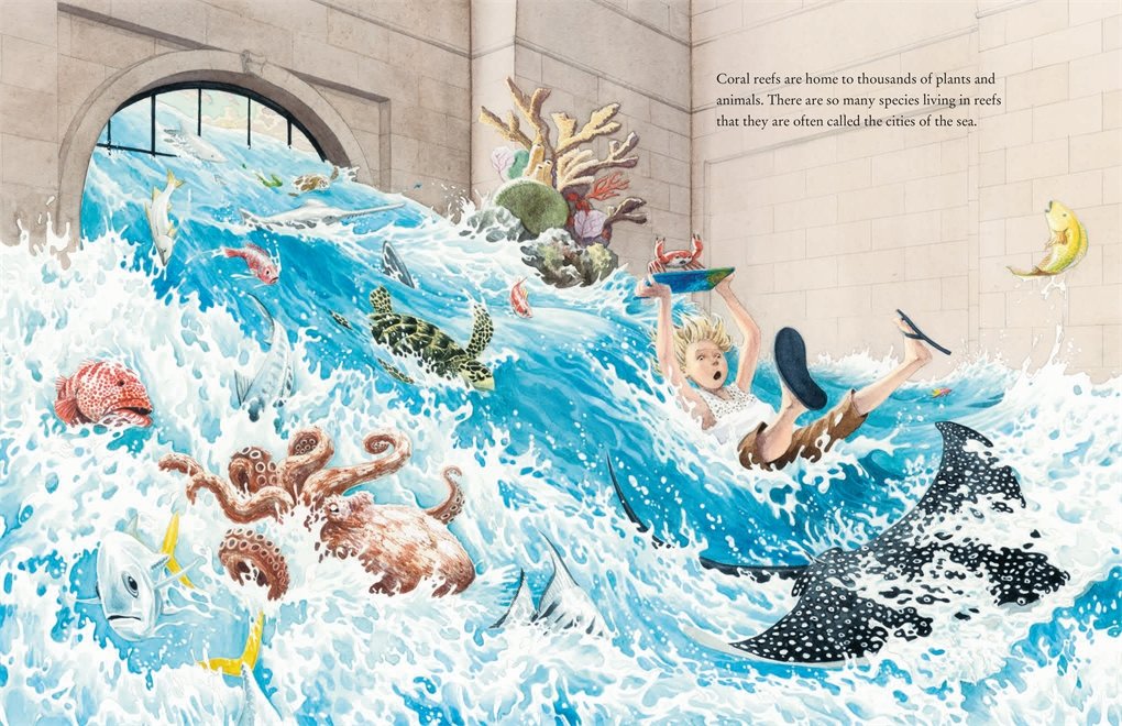 Coral Reefs preview