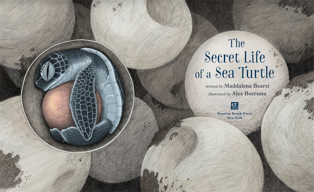 The Secret Life of a Sea Turtle preview