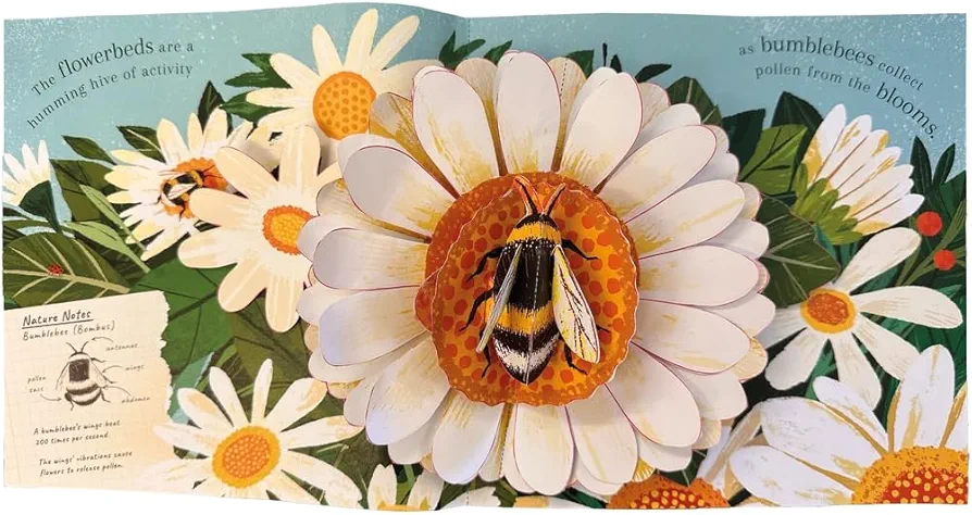 Nature Pop-ups: Minibeasts preview