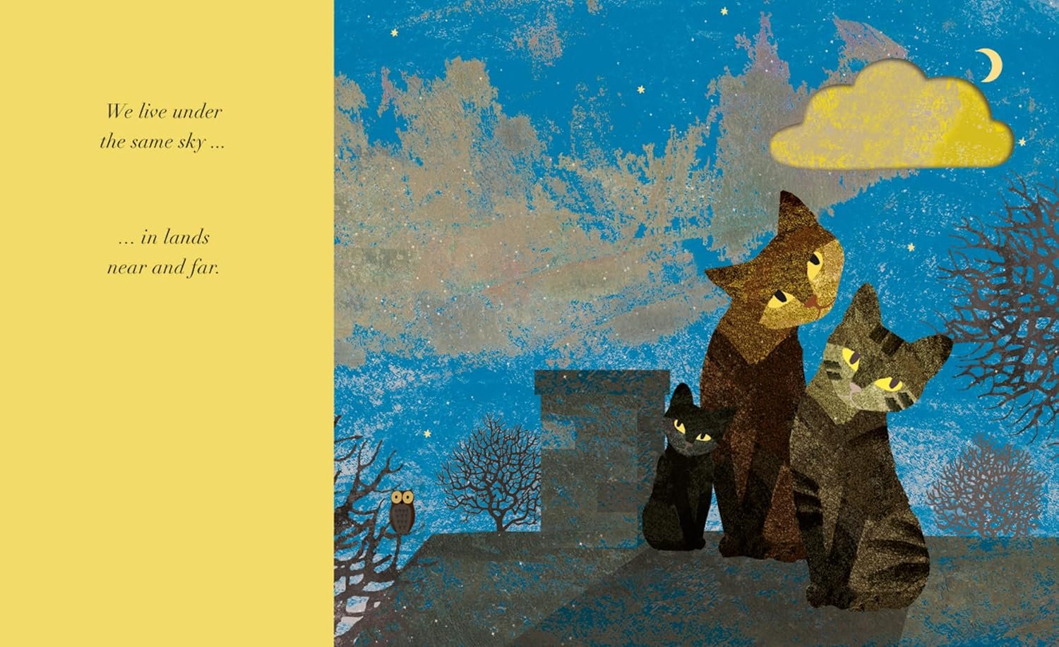 Under the Same Sky preview