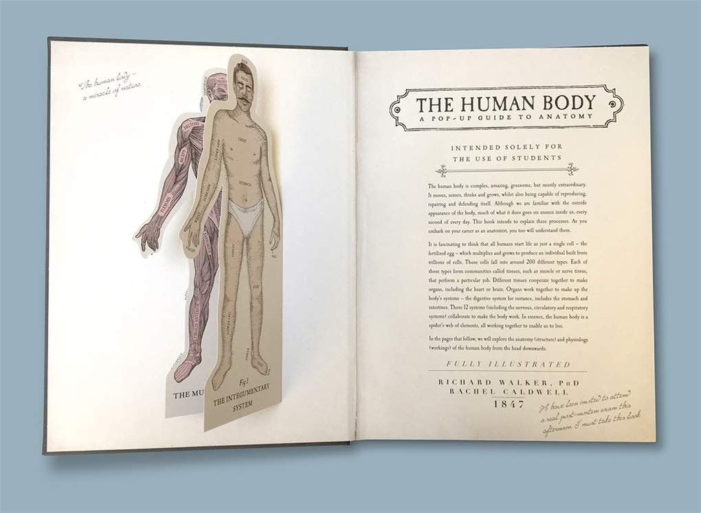 The Human Body preview