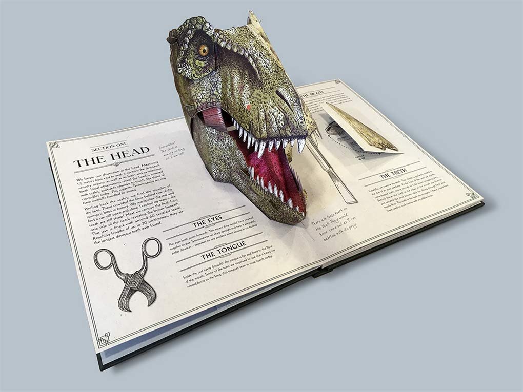 Tyrannosaurus Rex preview