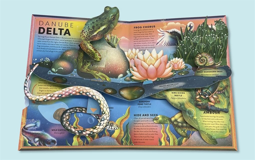 The Incredible Pop-Up Frog preview