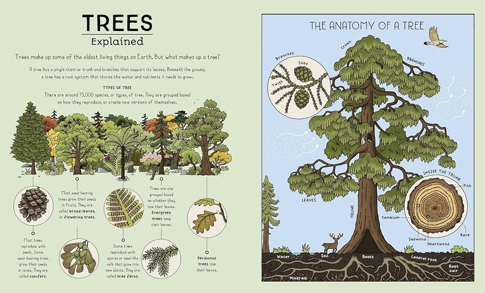 Nature Explained preview