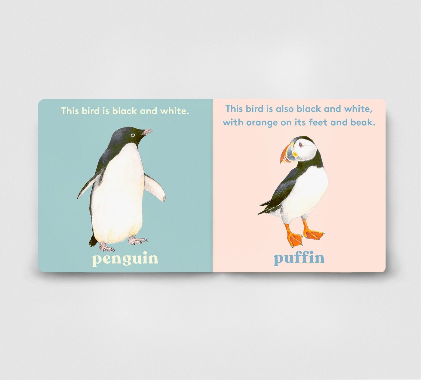 Look! a Bird! preview