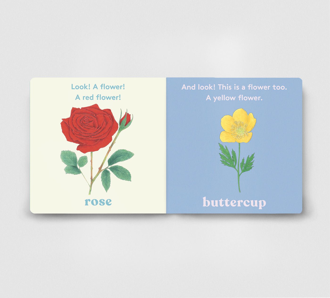 Look! a Flower! preview