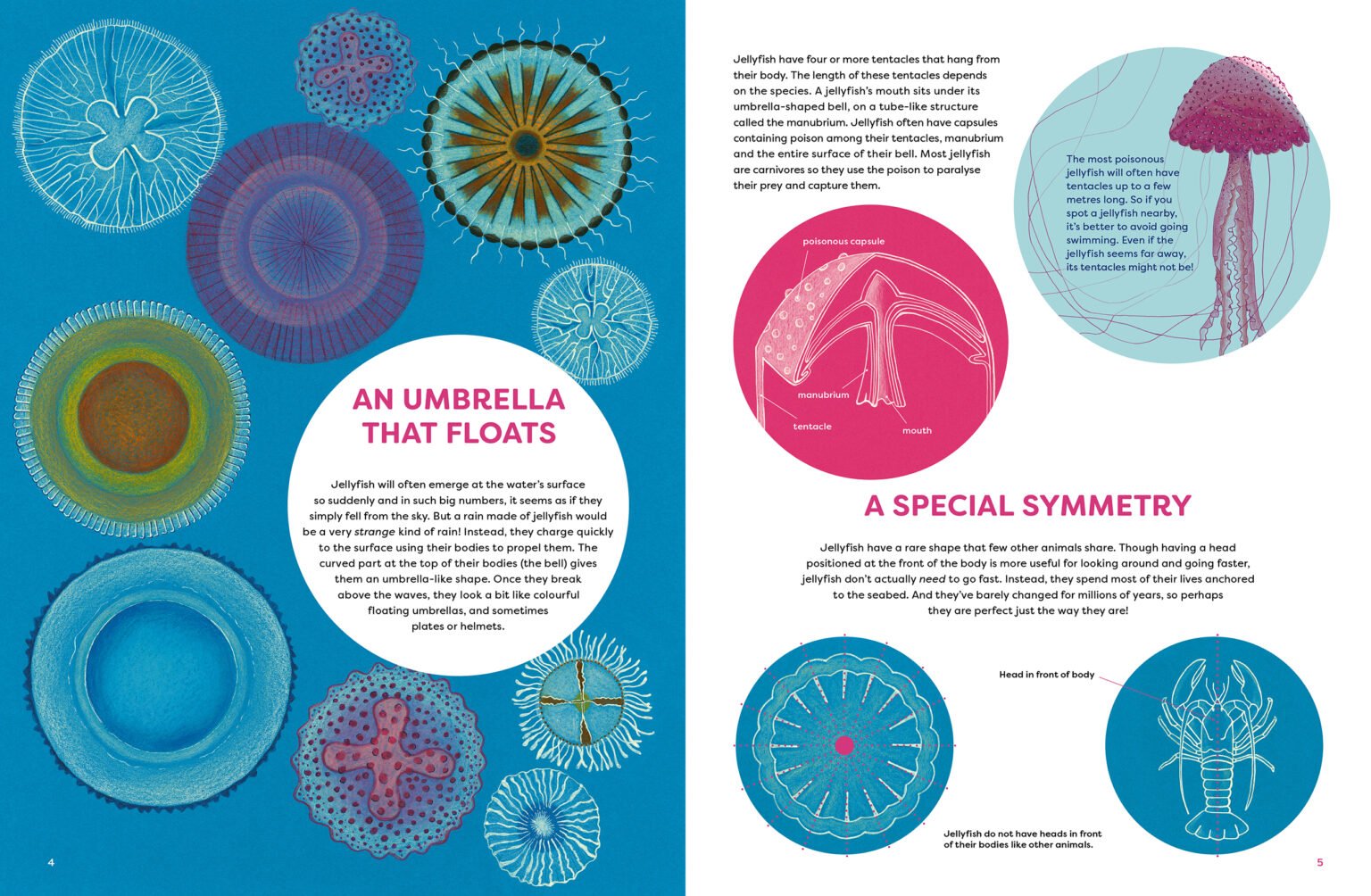 The Jellyfish Garden preview