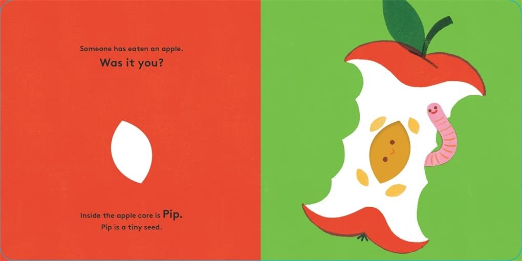 Little Life Cycles: Pip preview