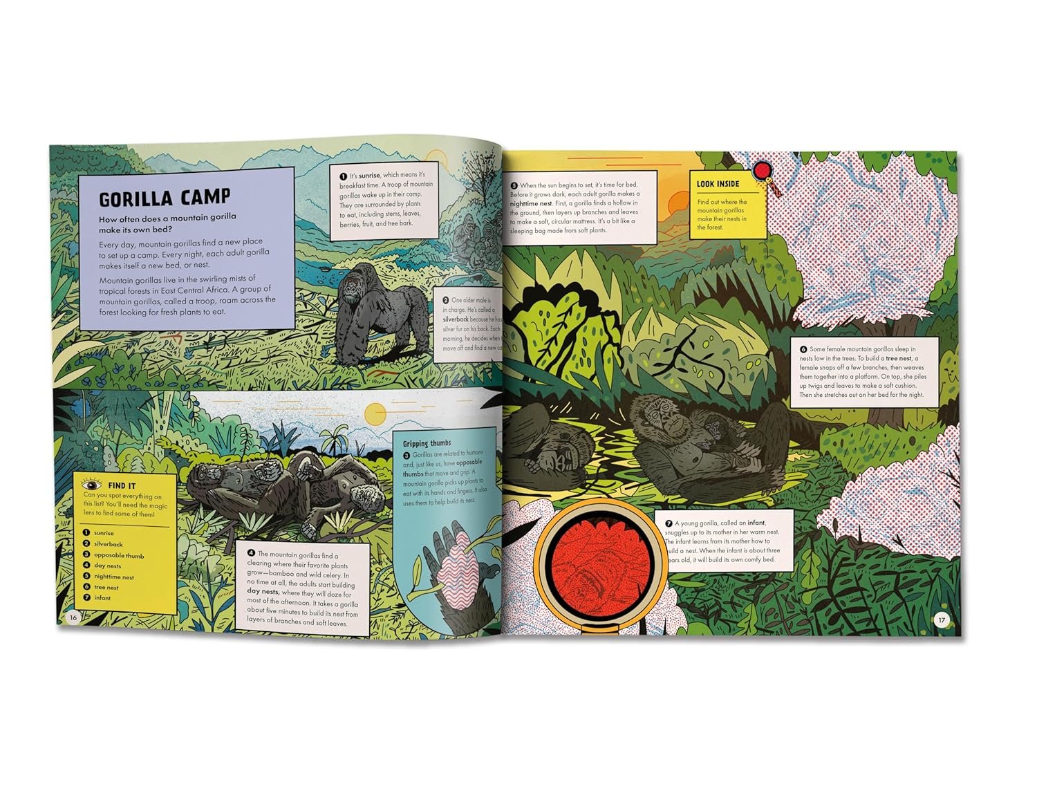 Marvelous Animal Homes preview