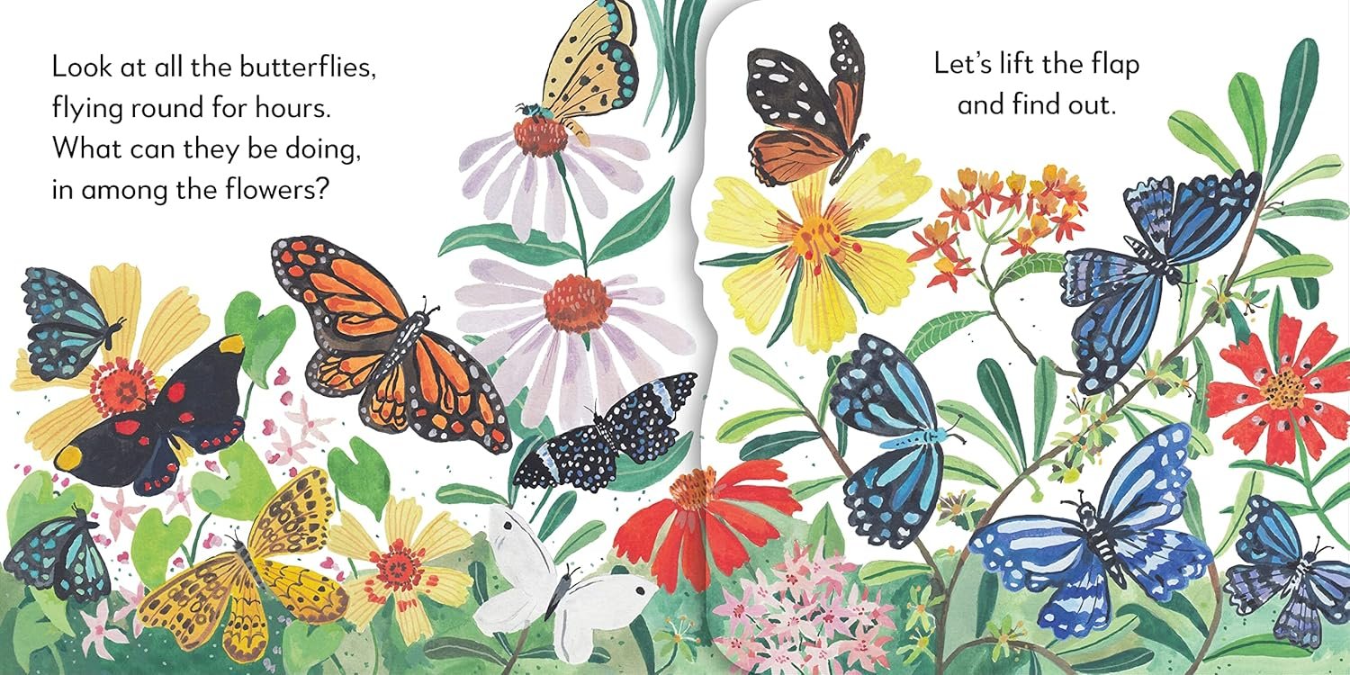 Pop-Up Peekaboo! Butterfly preview