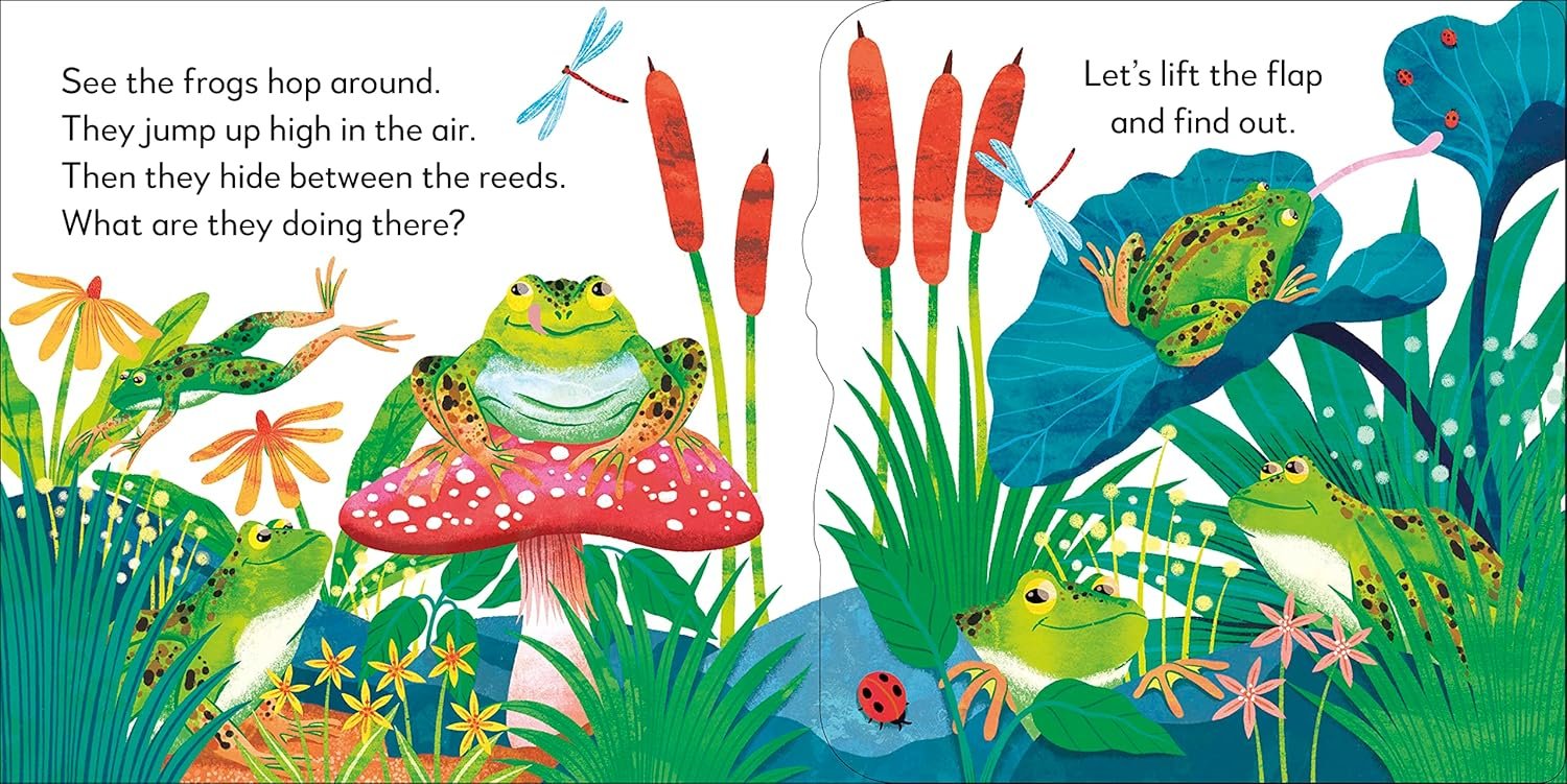Pop-Up Peekaboo! Frog preview