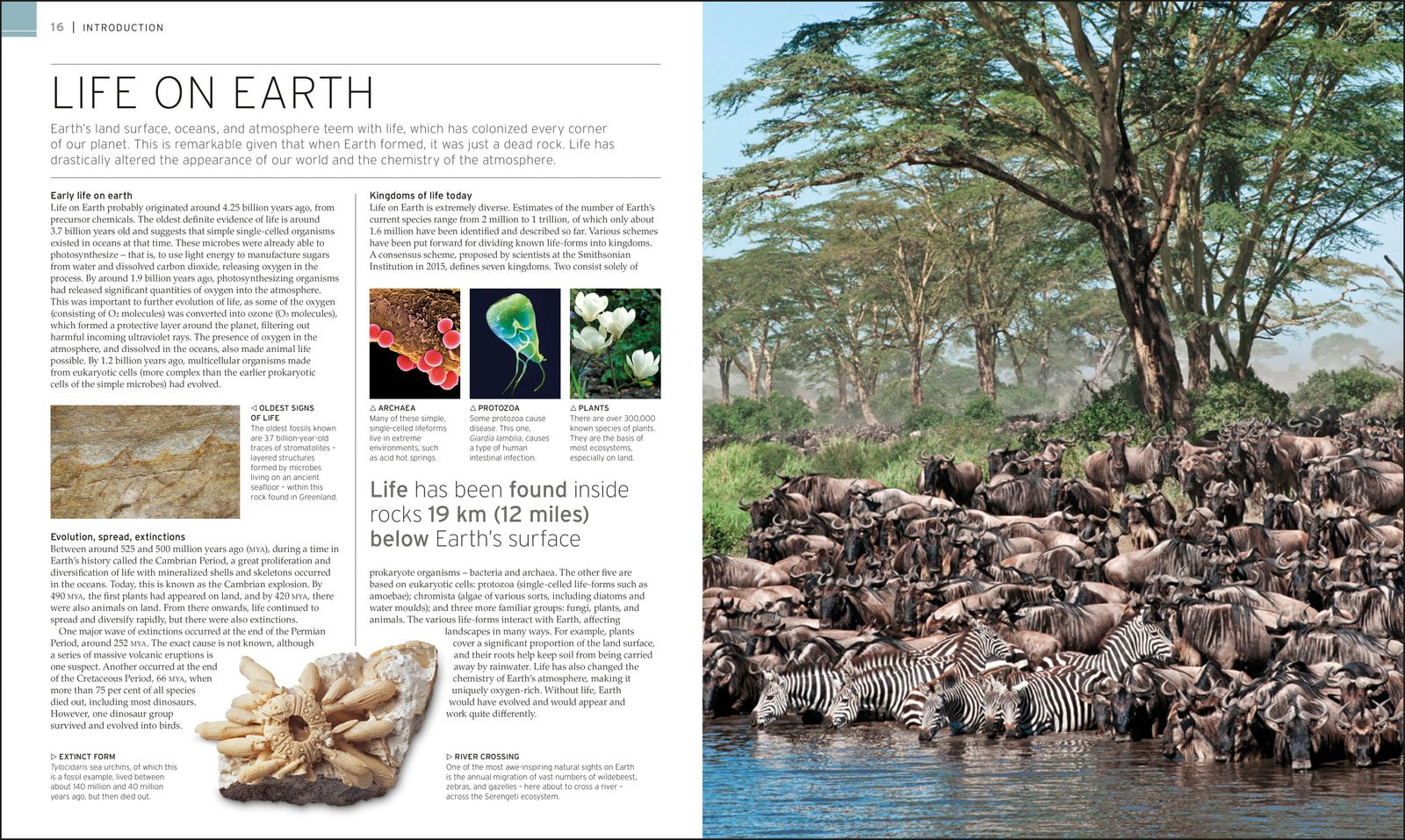 Natural Wonders of the World preview