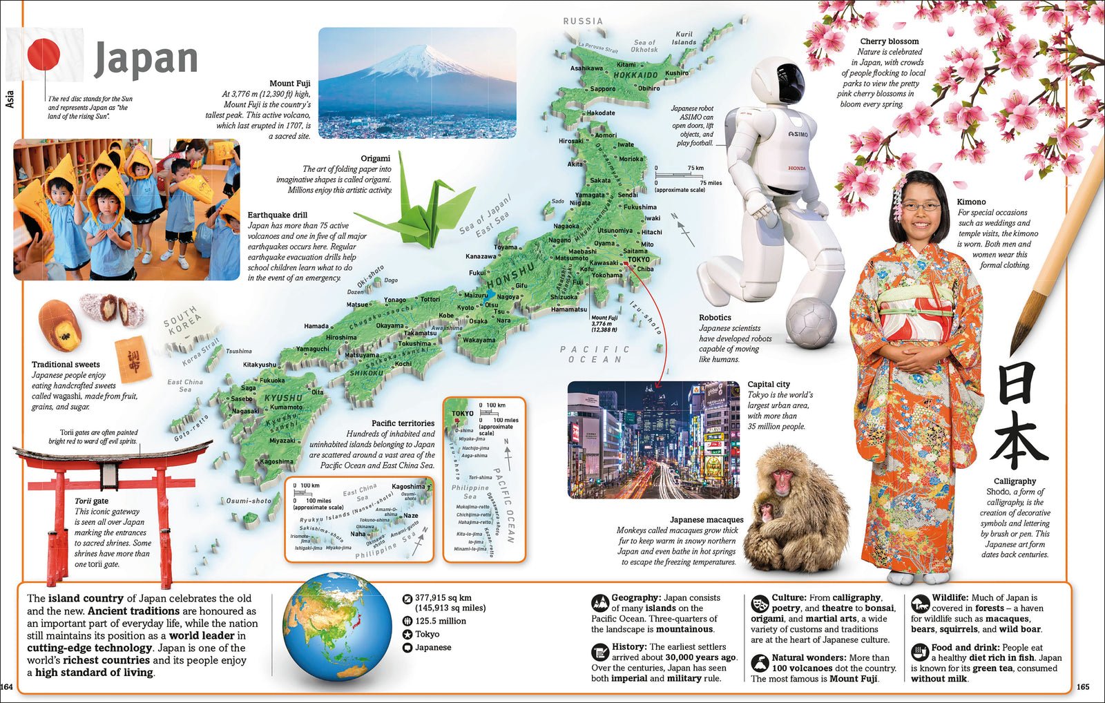 Our World in Pictures: Countries, Cultures, People & Places preview