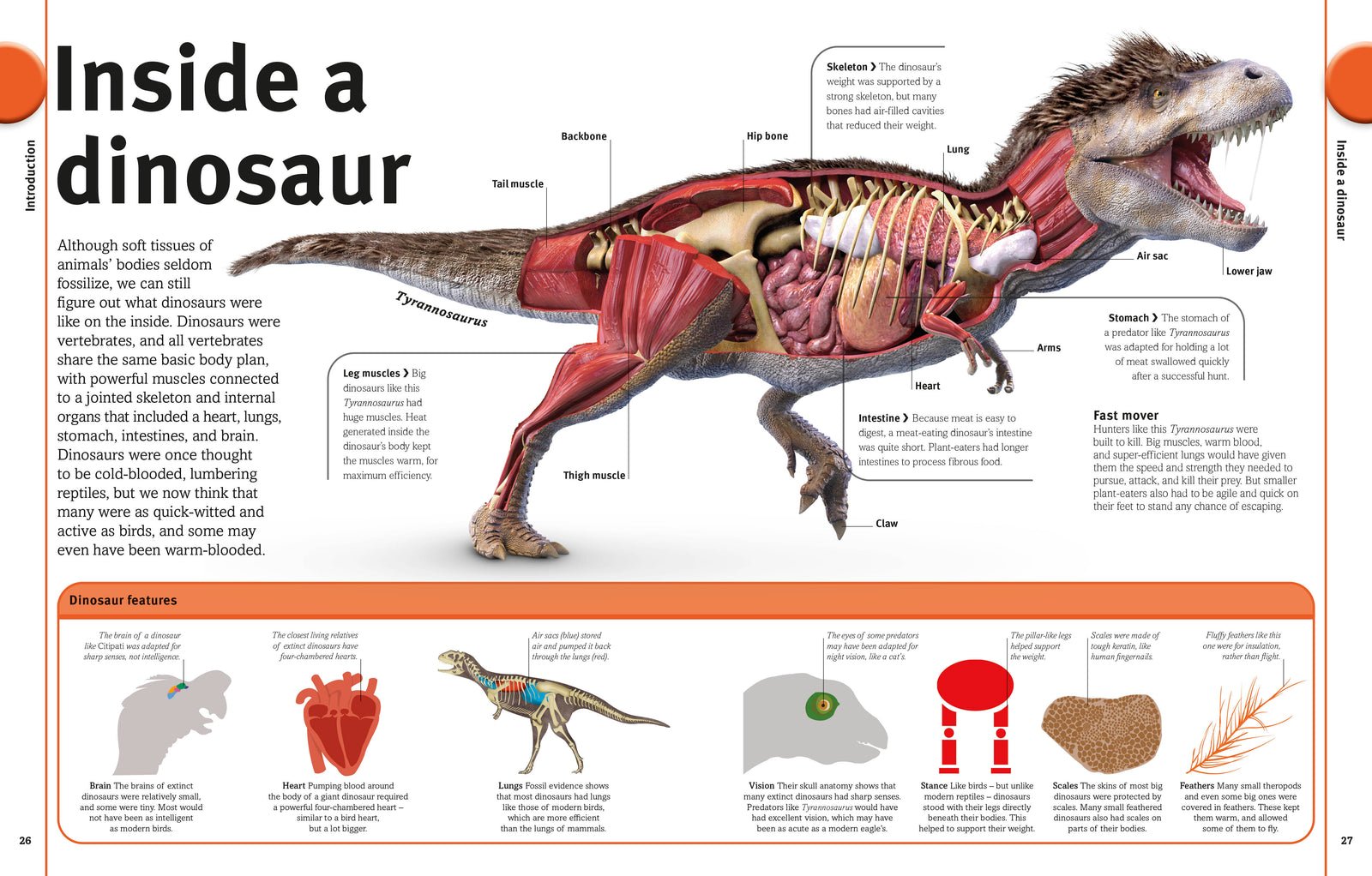 The Dinosaurs Book preview