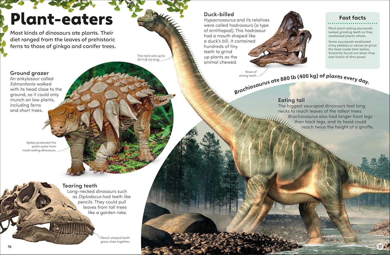 Eyewonder Dinosaurs preview