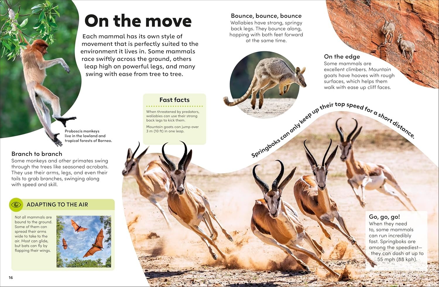 Eyewonder Mammals preview