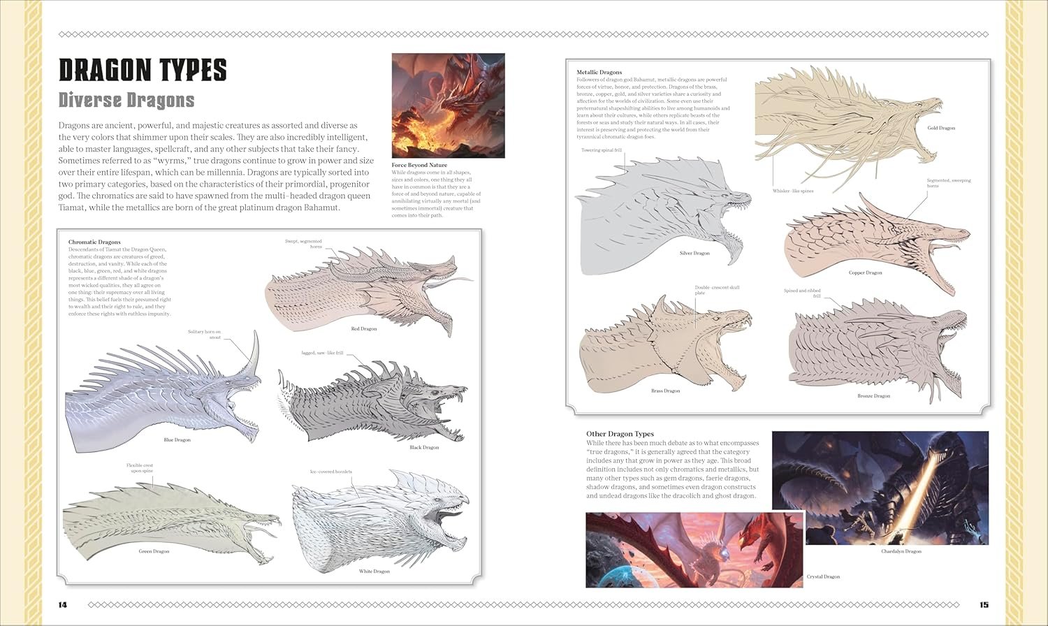 Dungeons and Dragons the Book of Dragons preview