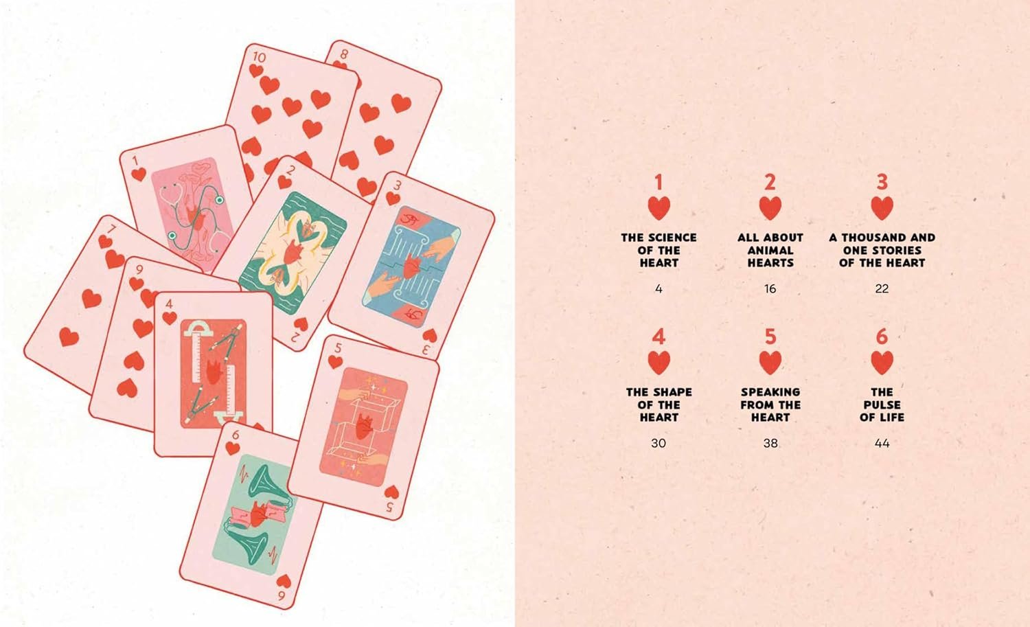 The Heart History, Science and Lots of Love preview