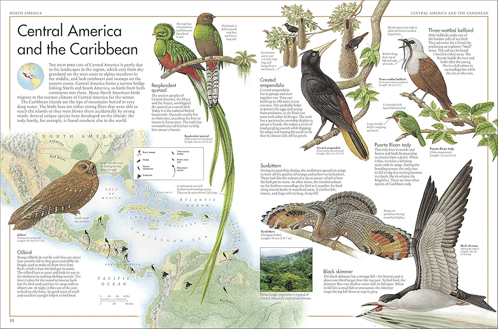 The Bird Atlas preview