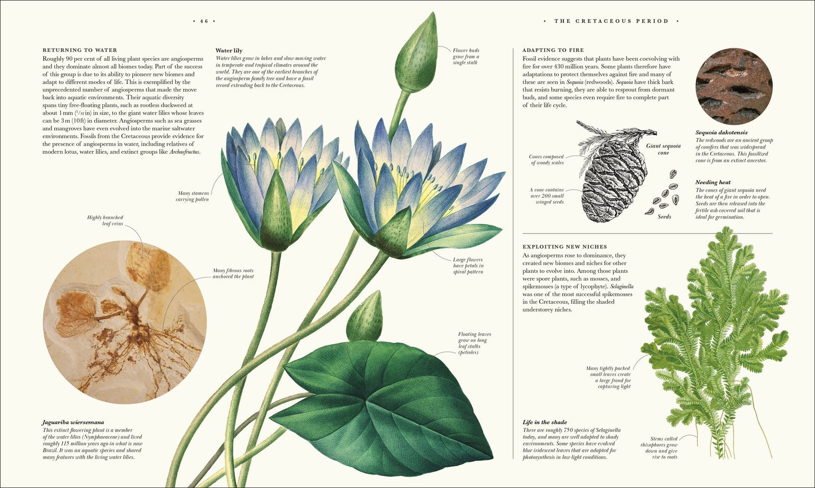 Atlas of Botany preview