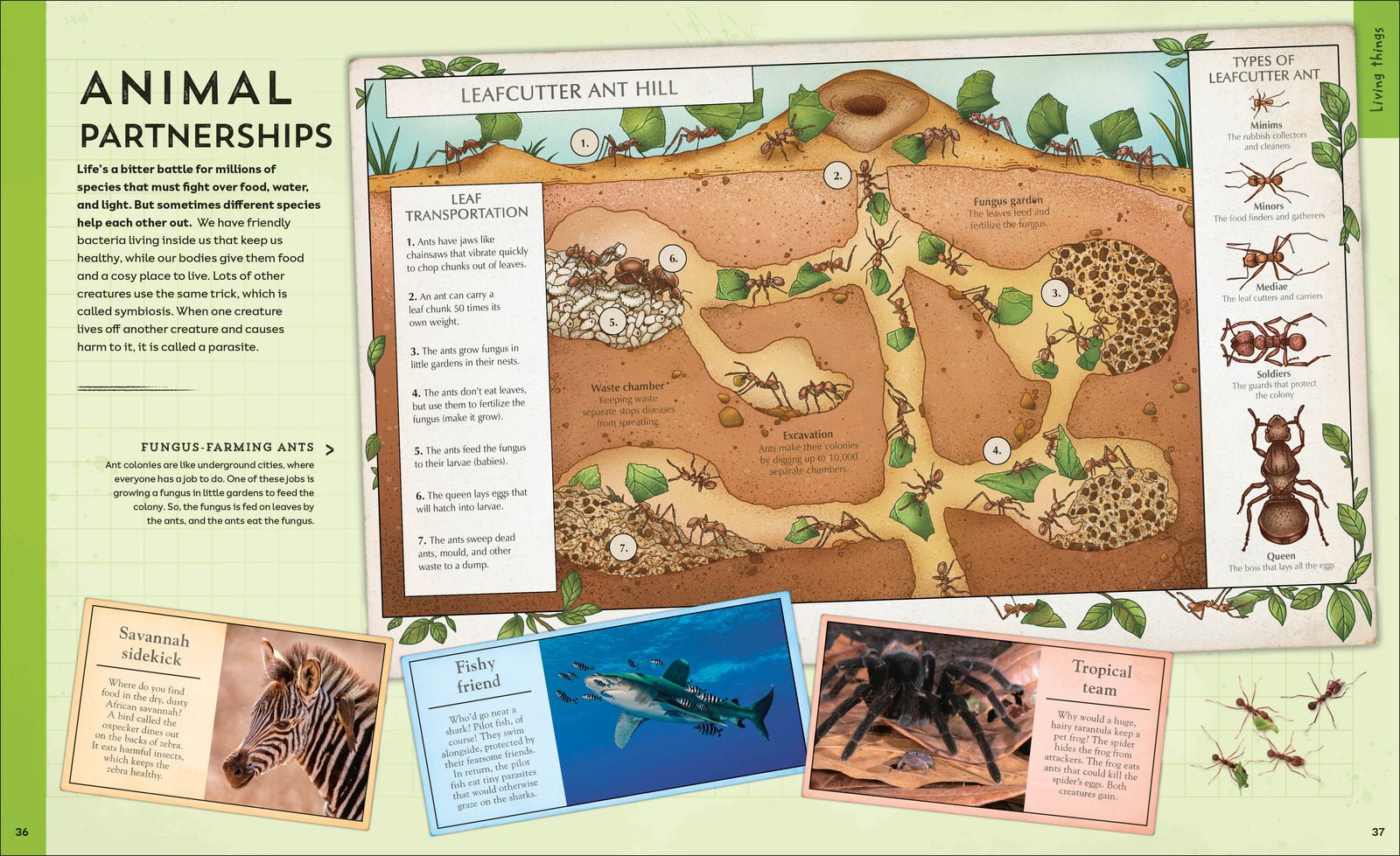 Explore: Science preview