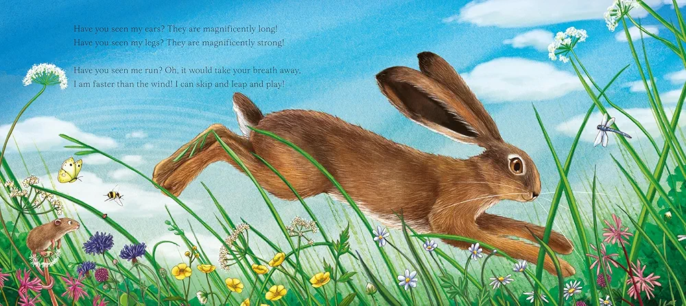 I Am Hattie the Hare preview