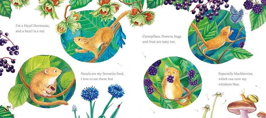 I Am Dandy the Dormouse preview