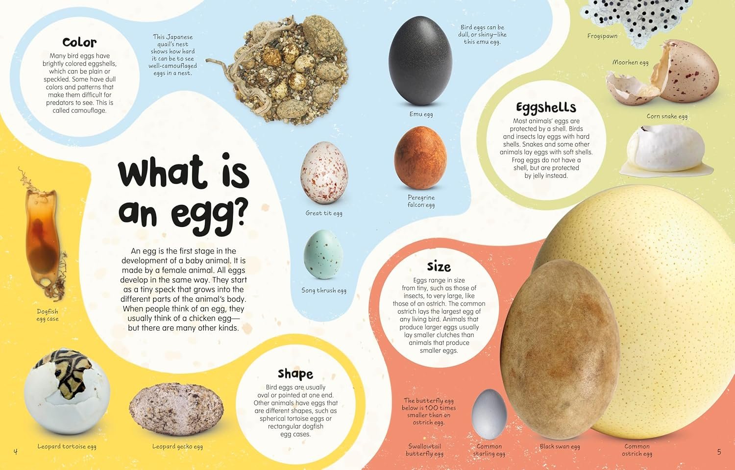 The Egg Book preview