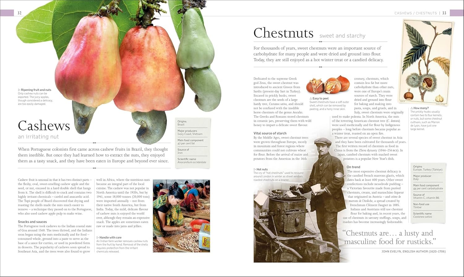 The Food Book preview